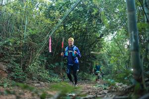 BIB: 
                            <button type="button" onclick="openModal(28024225)" class="btn btn-primary btn-sm float-right btn-popup" data-toggle="modal" data-target=".modal-high-quality">
                        <i class="fas fa-shopping-cart"></i> Add to Cart
                    </button>
                                            <button type="button" onclick="isThisMe(28024225, true)" class="btn btn-success btn-sm float-right btn-popup btn-isme hidden" data-toggle="tooltip" data-placement="bottom" title="นี่คือรูปของคุณใช่ไหม คลิกที่นี่เพื่อเอาเข้าอัลบั้ม">
                        <i class="fas fa-plus"></i> Add to album
                    </button>
                    <button type="button" onclick="isThisMe(28024225, false)" class="btn btn-warning btn-sm float-right btn-popup btn-isnotme hidden">
                        <i class="fas fa-ban"></i> Remove from album
                    </button>